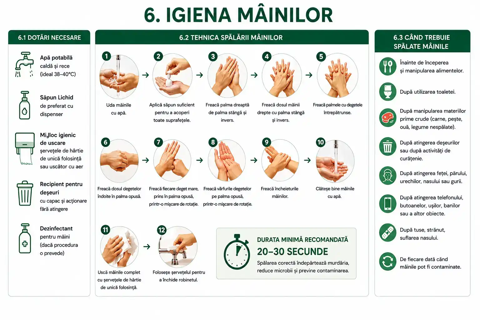 model procedura igiena mainilor